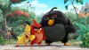 Nové obrázky z Angry Birds představují opeřené hrdiny i prasátka!