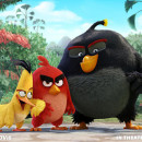 Nové obrázky z Angry Birds představují opeřené hrdiny i prasátka!