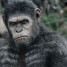 Další fotky z filmu Dawn Of The Planet Of The Apes